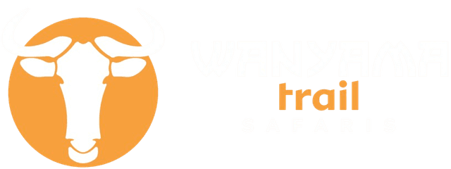 Wanyama Trails Safaris